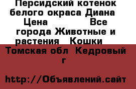 Персидский котенок белого окраса Диана › Цена ­ 40 000 - Все города Животные и растения » Кошки   . Томская обл.,Кедровый г.